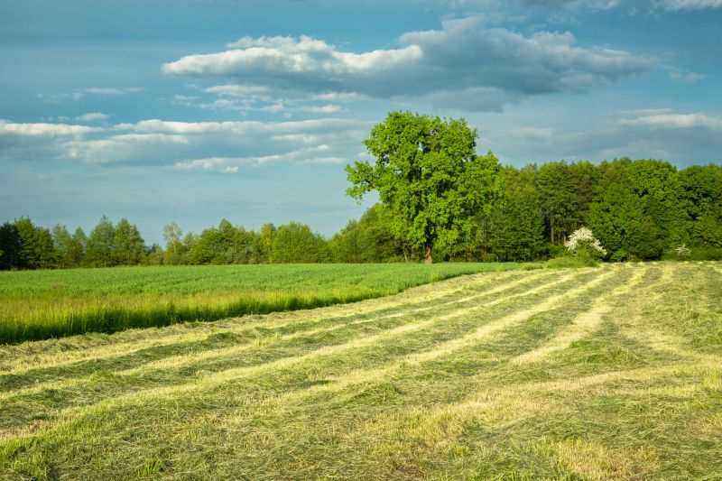 Farm Clearing in Atlanta, GA
