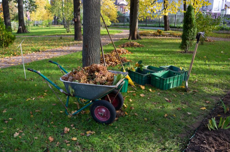 Site Clearing Service in Katy, TX