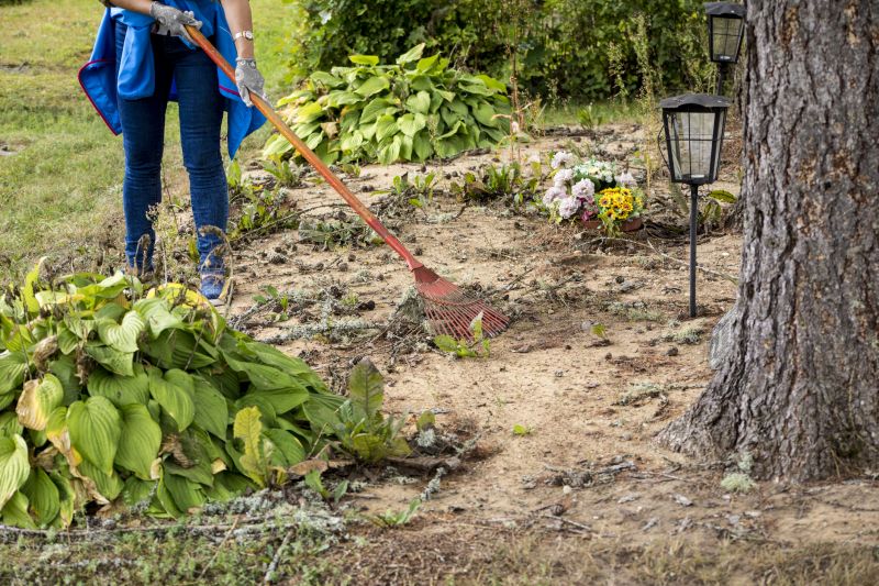 Thicket Clearing in Salt Lake City, UT